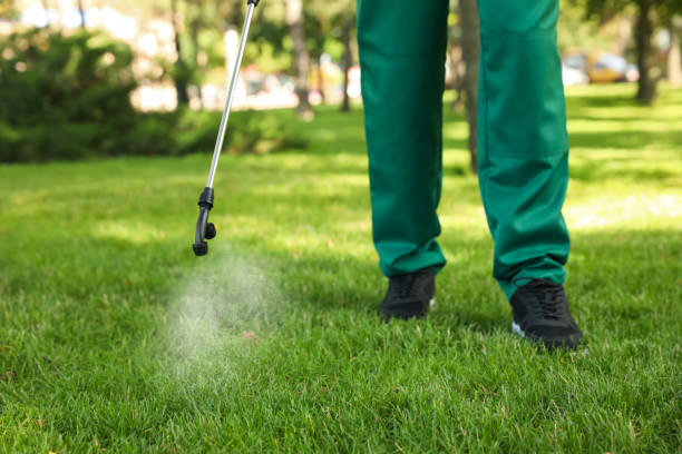 Best Pest Control for Restaurants  in Moorpark, CA