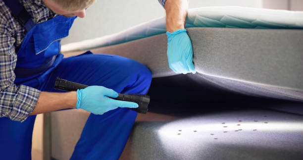 Best Rat Extermination Near Me  in Moorpark, CA